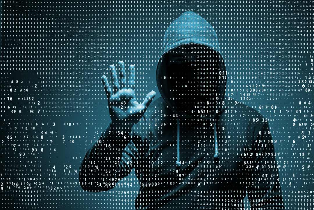Cyber Crime on the Rise
